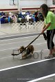 IMG_3620