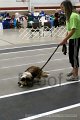 IMG_3621