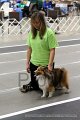 IMG_3622