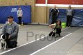 IMG_3623