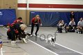 IMG_3655