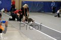 IMG_3658