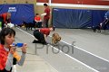 IMG_3661