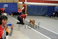 IMG_3662