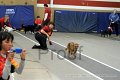 IMG_3663