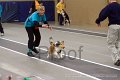 IMG_3677