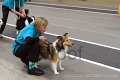 IMG_3681