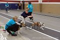 IMG_3690