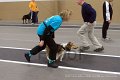 IMG_3692