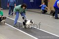 IMG_3700