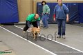 IMG_3704