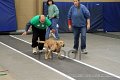 IMG_3705