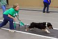 IMG_3710