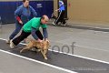 IMG_3711