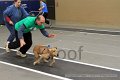 IMG_3712