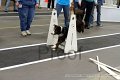 IMG_3720