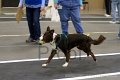 IMG_3725