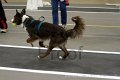 IMG_3728