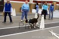 IMG_3729