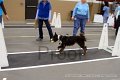 IMG_3730