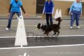 IMG_3731