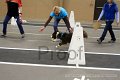 IMG_3733