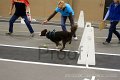 IMG_3734