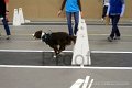 IMG_3737