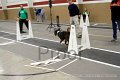 IMG_3740