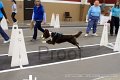 IMG_3742