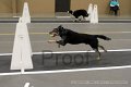 IMG_3749