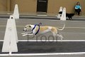 IMG_3755