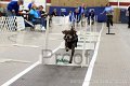 IMG_3812