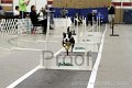 IMG_3849