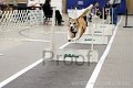 IMG_3865