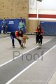 IMG_3891