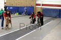 IMG_3896