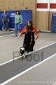 IMG_3898