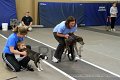 IMG_3909