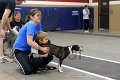 IMG_3917