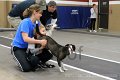 IMG_3918