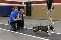 IMG_3921
