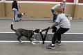 IMG_3923