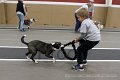 IMG_3924