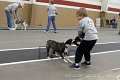 IMG_3926
