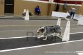 IMG_3932