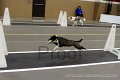 IMG_3938