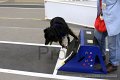 IMG_3979