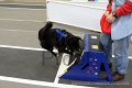 IMG_3982