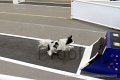 IMG_3984